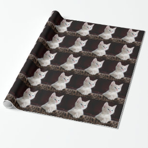 Superschattig Witte Kitten Cadeaupapier