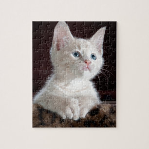 Superschattig Witte Kitten Legpuzzel