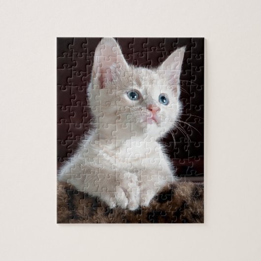 Superschattig Witte Kitten Legpuzzel (Verticaal)