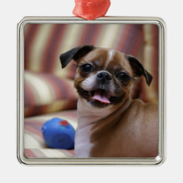 Superschattige hond met haar favoriete bal metalen ornament