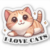 Superschoon katje Ik hou van katten Sticker (Voorkant)