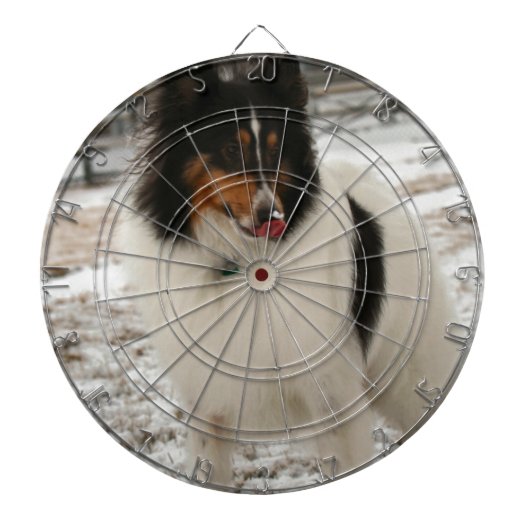 Superschuilplaats Dartbord (Voorkant)