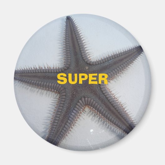 Superstar Magneet (Voorkant)