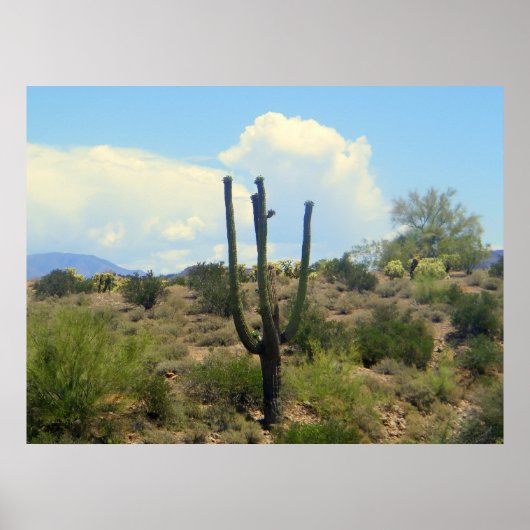 Superstion Beauty Print (Voorkant)