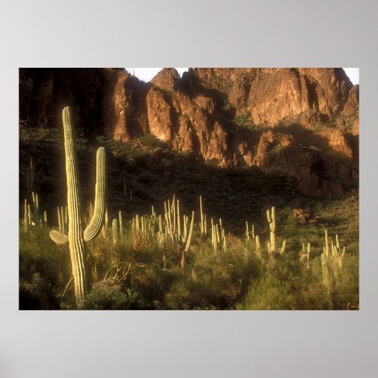 Superstitigebergte Poster (Voorkant)