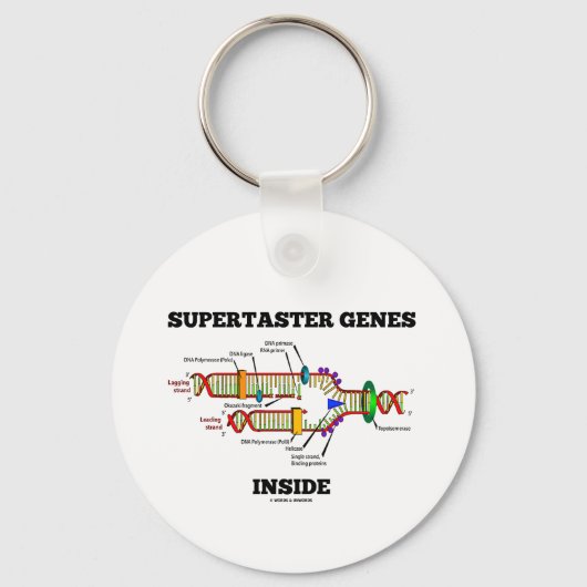 Supertaster-genen binnenin (DNA-replicatie) Sleutelhanger (Voorkant)