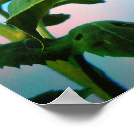 Superzonnebloem Poster (Hoek)