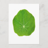 Support Green, Save the Planet Briefkaart (Voorkant)