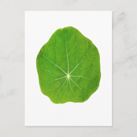 Support Green, Save the Planet Briefkaart (Voorkant)