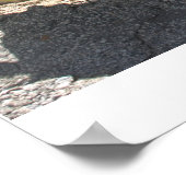 "Support Our Troops" Sign, Hawthorne, Nevada Poster (Hoek)