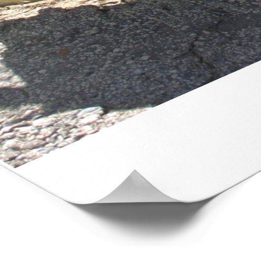 "Support Our Troops" Sign, Hawthorne, Nevada Poster (Hoek)