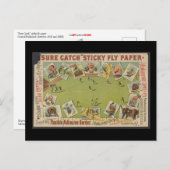 "Sure Catch" Sticky Fly Paper Briefkaart (Voorkant / Achterkant)