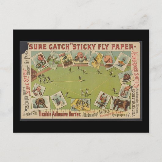 "Sure Catch" Sticky Fly Paper Briefkaart (Voorkant)