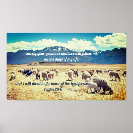 "Surely Goodness" Psalm 23:6 Biblical Prophetic Poster (Voorkant)
