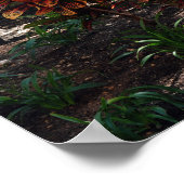 Surf Board Poster (Hoek)
