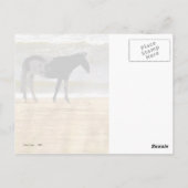 Surf Briefkaart (Achterkant)