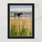 Surf Briefkaart (Voorkant)