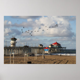 Surf City Poster