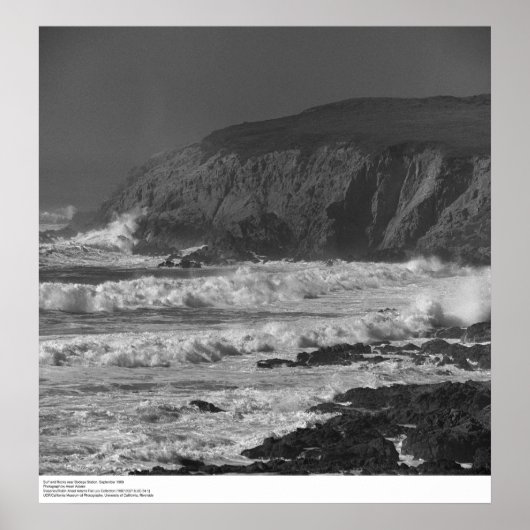 Surf en Rocks nabij Bodega, station 1966 Poster (Voorkant)
