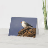 Surf is op! Verjaardag Kaart (Achterkant)