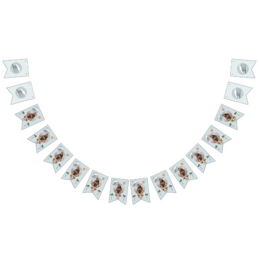 Surf omhoog de grote eerste verjaardag die vlaggen vlaggetjes (Alle)