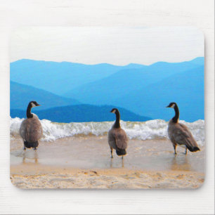 Surf omhoog! - Geese Muismat
