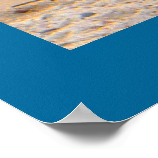 Surf omhoog! - Geese Poster (Hoek)