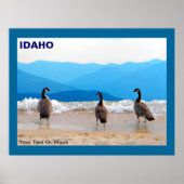 Surf omhoog! - Geese Poster (Voorkant)