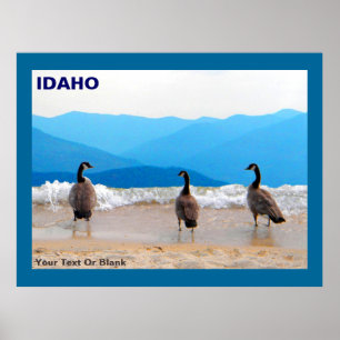 Surf omhoog! - Geese Poster