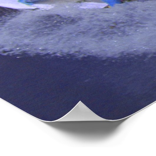 Surf Popart 2, Copyright karen j. Williams Poster (Hoek)