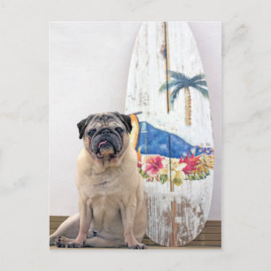 Surf Pug Briefkaart