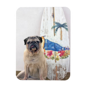 Surf Pug Magneet