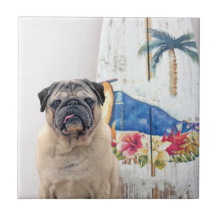 Surf Pug Tegeltje