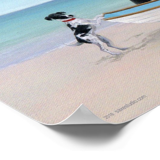 Surf Rescue Poster (Hoek)