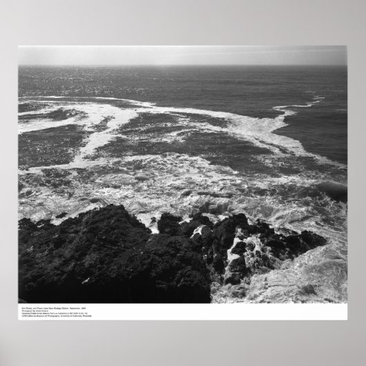 Surf, Rocks en Schuimlijnen nabij Bodega-station Poster (Voorkant)