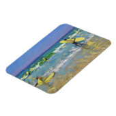 Surf School at St. Ives Magneet (Linkerzijde)