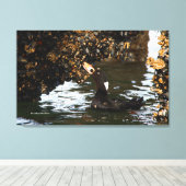 Surf Scoter Feasting Mussels and Barnacles Canvas Afdruk (Insitu (Houten vloer))