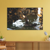 Surf Scoter Feasting Mussels and Barnacles Canvas Afdruk (Insitu (Woonkamer))