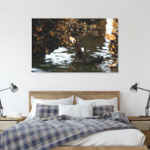 Surf Scoter Feasting Mussels and Barnacles Canvas Afdruk (Insitu (Slaapkamer))