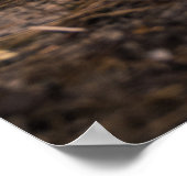 Surf skater training surfen moves poster (Hoek)