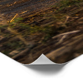 Surf skater training surfen moves poster (Hoek)