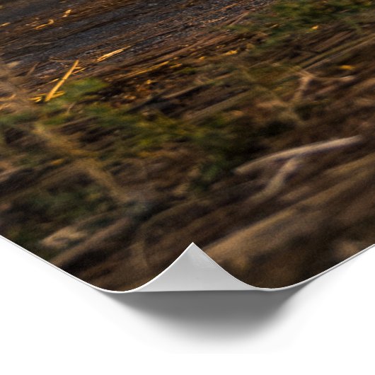 Surf skater training surfen moves poster (Hoek)