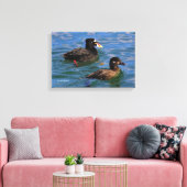 Surf van mannetjes en Vrouwen Schoter Eenden bij d Canvas Afdruk (Insitu (Woonkamer))