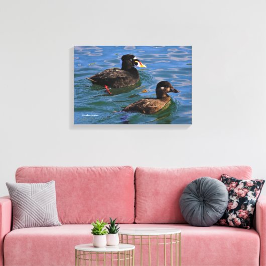 Surf van mannetjes en Vrouwen Schoter Eenden bij d Canvas Afdruk (Insitu (Woonkamer))