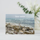 surf van zeegarend en zee kaart (Staand voorkant)