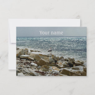 surf van zeegarend en zee kaart