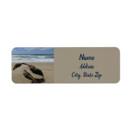 Surf Zand en driftwood West Coast Landscape Beach Etiket