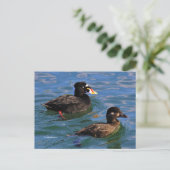 Surf zwaaide eenden op Pier's Edge Briefkaart (Staand voorkant)