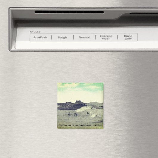 Surf zwemmen, Sakonnet, RI (Warren Point, LC) Magneet (Insitu (Vaatwasser))