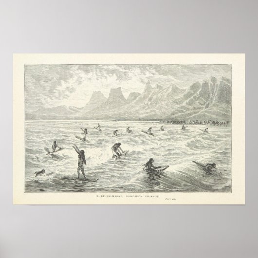 Surf-zwemmen, Sandwicheilanden Poster (Voorkant)